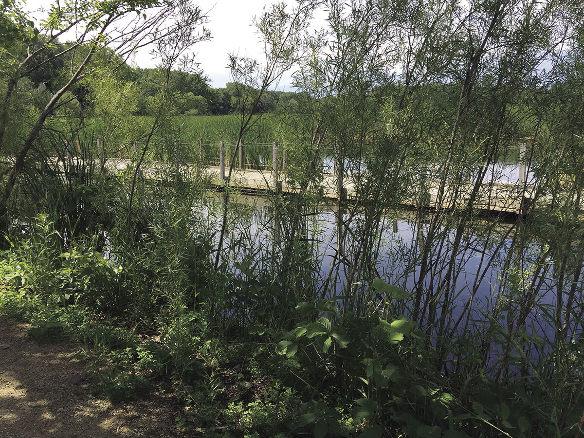 RI11NWwoodLakeBoardwalk2.jpg